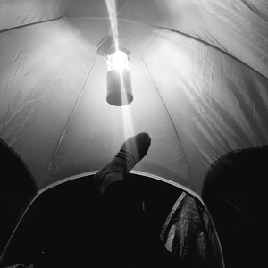 dldss277无码免费看
