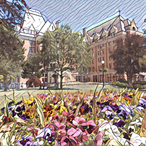 dldss277无码免费看
